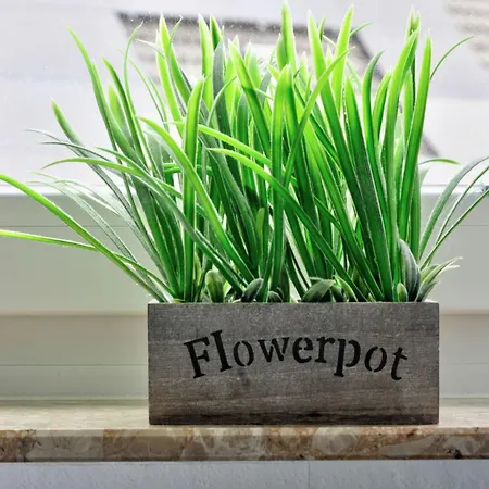 Apartment Born 2 By Interhome