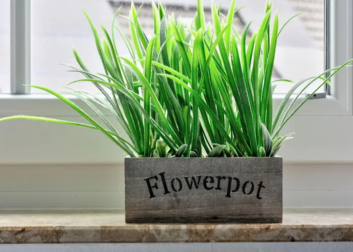 Appartement Born 2 By Interhome